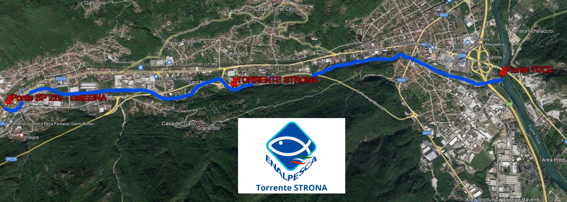 Cartina Logo