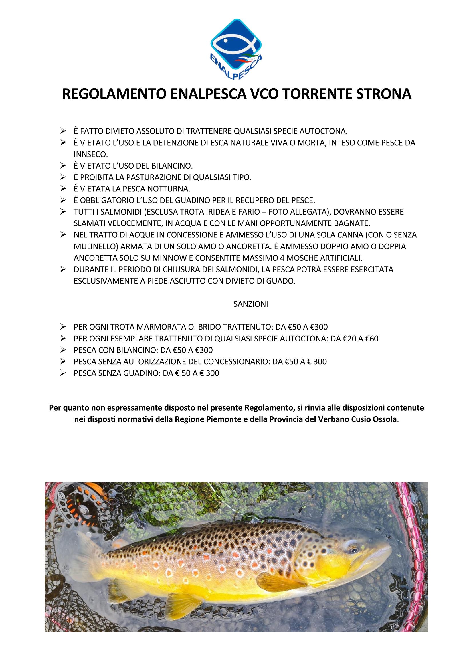 REGOLAMENTO Page 1
